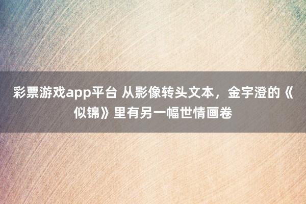 彩票游戏app平台 从影像转头文本，金宇澄的《似锦》里有另一幅世情画卷