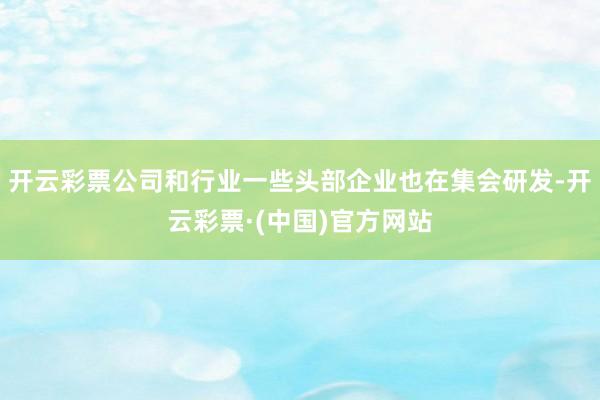 开云彩票公司和行业一些头部企业也在集会研发-开云彩票·(中国)官方网站